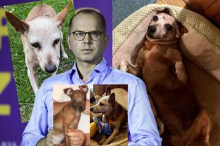 Michał Szczerba w żałobie. Pożegnał Rózię 