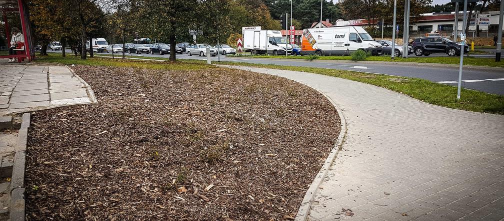 Różane Ogrody w Kijewie