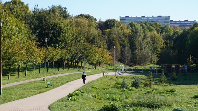 Filary porośnięte bluszczem w Lublinie! Tak się prezentują w jesiennej odsłonie