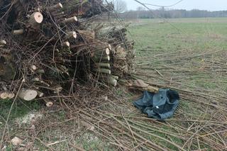 Horror na Mazowszu, potężna wierzba runęła na braci! Jeden stracił zęby, drugi życie
