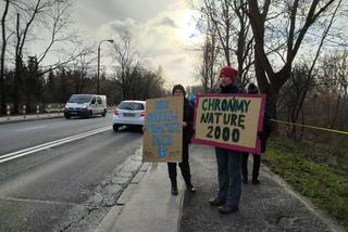 Zostaniemy tu do marca. Aktywiści w obronie drzew nad Wisłą