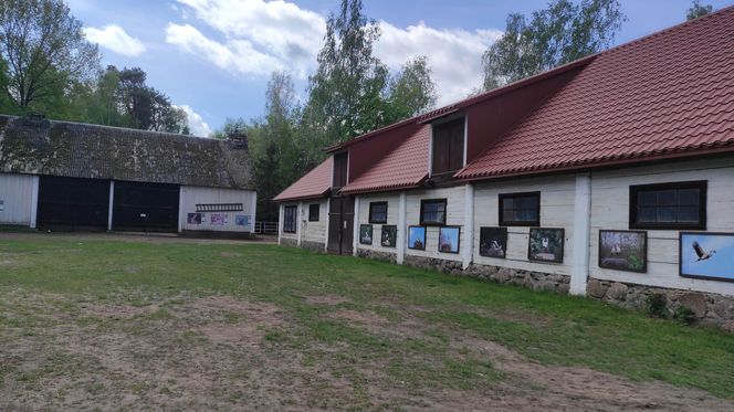 Europejska Wieś Bociania w Pentowie. Unikalne miejsce na Podlasiu