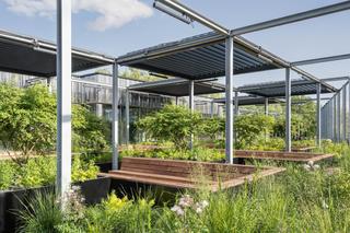 Kampus CD Projekt na Pradze - pierwsze zdjęcia