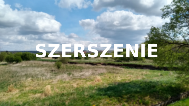 Szerszenie
