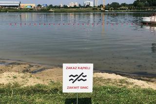 Dwa kąpieliska w Poznaniu zostały zamknięte! Dlaczego? 