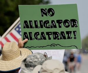 Trump zamknie imigrantów na mokradłach pełnych aligatorów i pytonów! Otwierają Aligatorowe Alcatraz