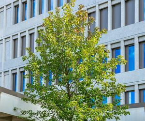 Nowy budynek Wydziału Psychologii Uniwersytetu Warszawskiego