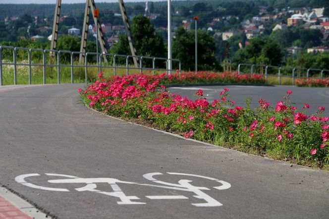 Starachowice. To najbardziej ukwiecone miasto świętokrzyskiego