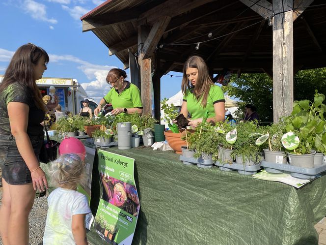 Eska Summer City Olsztyn na 10. edycji Festiwalu Koloryt cz.2