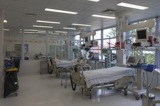Ponad 60 osób zatruło się jadem kiełbasianym. Winny popularny zabieg