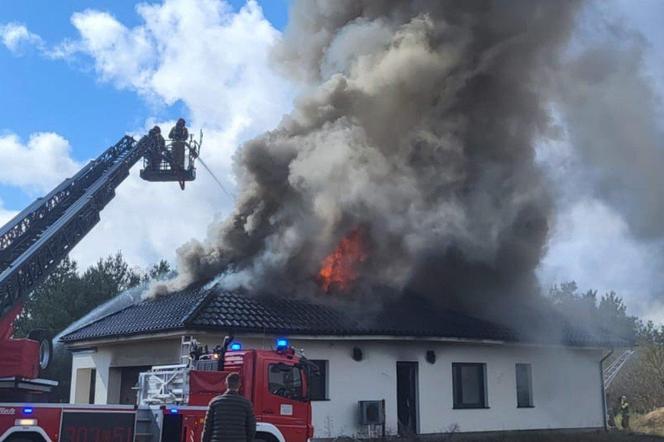 Ogień strawił nowiutki dom, lada chwila rodzina miała w nim zamieszkać. Teraz nie ma dokąd pójść