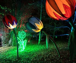 Lumina Park Poznań w święta 