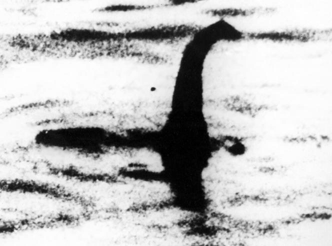 Potwór z Loch Ness jest żółwiem! Naukowcy ujawniają