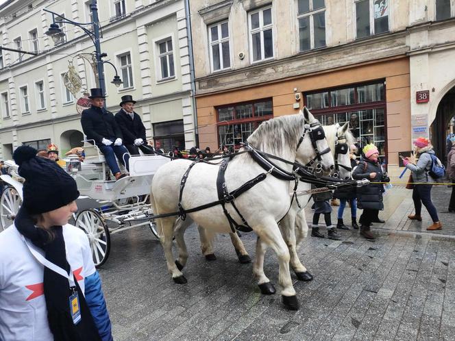 Kolorowy Orszak Trzech Króli w Łodzi. W centrum miasta pojawiło się mnóstwo osób [ZDJĘCIA]