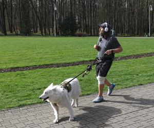 Parkrun Katowice. Wielkanocne bieganie w Parku Kościuszki