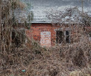 Wielkopolska wieś nagle opustoszała