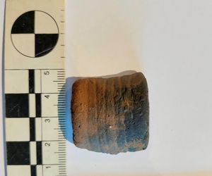 Podkarpacka historia ukryta w ziemi. Cenne znaleziska na budowie S19