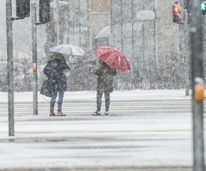 Kiedy spadnie śnieg w Polsce 2024? Jest data uderzenia bestii ze wschodu!