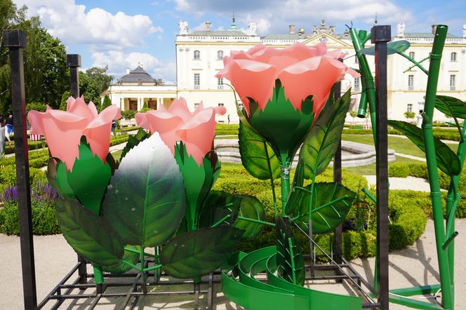 Nowa instalacja artystyczna przy Pałacu Branikich w Białymstoku