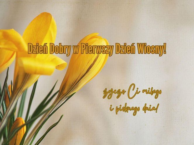 Dzień wiosny - kartki z życzeniami