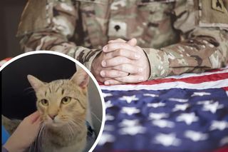 Amerykański komandos uratował bezpańskiego kota z Polski. Pupil mieszka z nim teraz w Teksasie