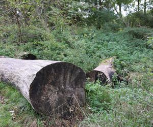 Jesienna odsłona terenów nad Bystrzycą w Lublinie. Tak się prezentuje w październiku