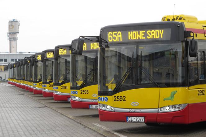 MPK Łódź planuje zakupić 70 nowych autobusów