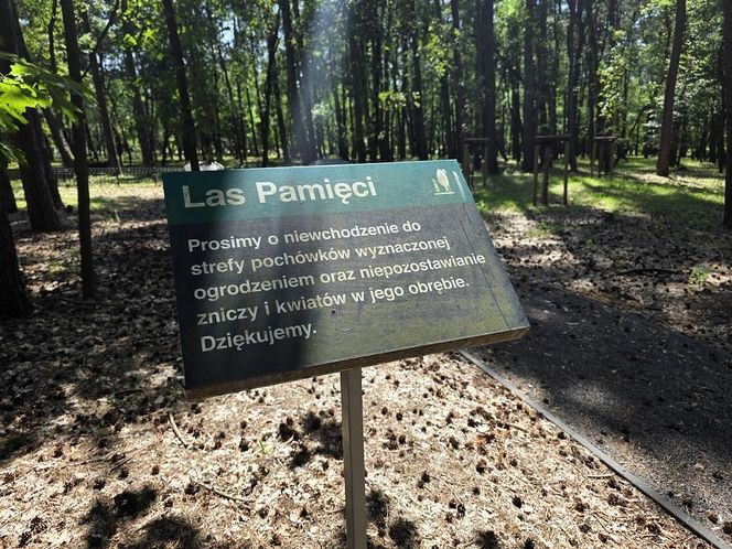 Las pamięci na Junikowie w Poznaniu