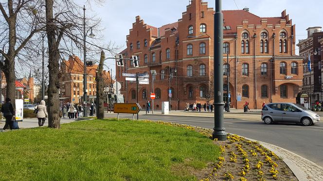 Toruń miastem zieleni?