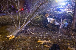 Z wściekłości rozbił swojego mercedesa o drzewo. Potem bawił się telefonem