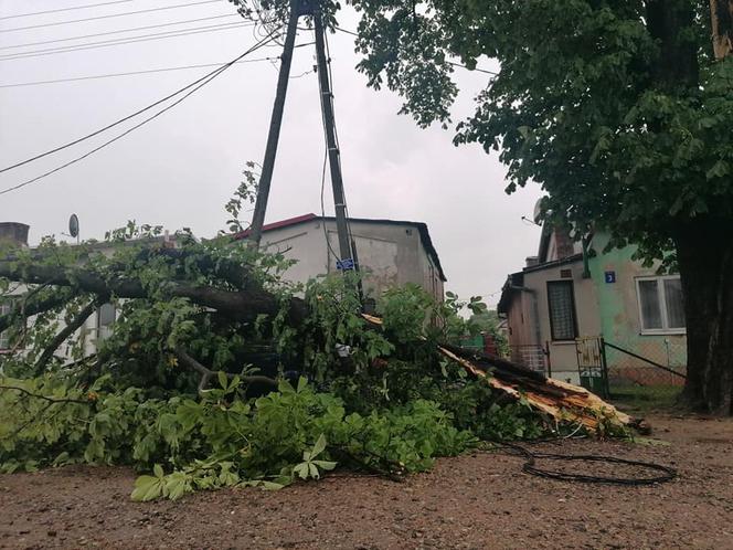 Drzewo przygniotło auto! Gdzie są burze w Płocku i okolicach?