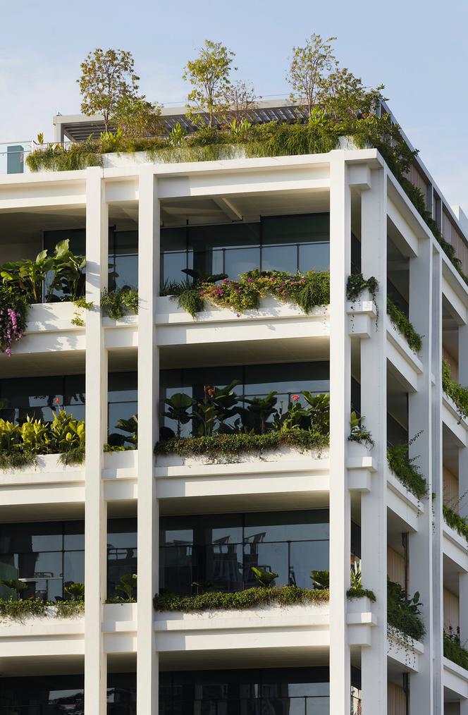 Oasis Terraces w Singapurze_Serie Architects_15
