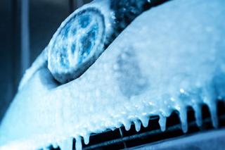 Toyota C-HR w chłodni