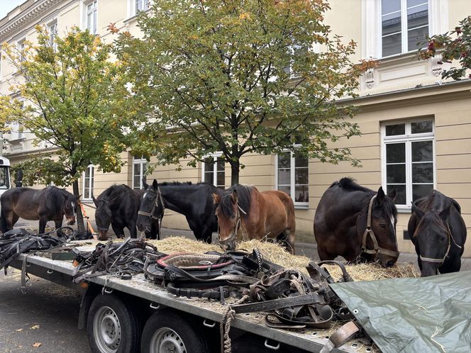 Plan zdjęciowy "Lalka"