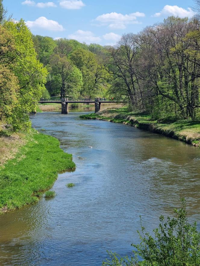 Przepiękne miejsce z odznaczeniem UNESCO blisko granicy polsko-niemieckiej. Zobaczcie jak wygląda Park w Mużakowie