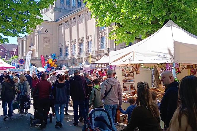Piknik nad Odrą