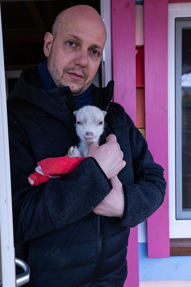 Ukraiński koziołek Saszka dostanie protezy nóg [GALERIA]
