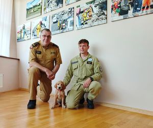 Wygląda jak maskotka, a będzie bohaterem. Strażacy mają nowego psa ratowniczego