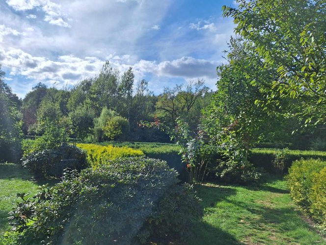 Arboretum Bramy Morawskiej zachwyca jesienią