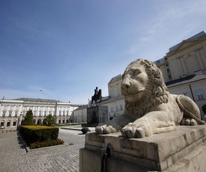 Jeden z kamiennych lwów przed Pałacem Prezydenckim