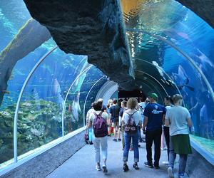 7 najlepszych ogrodów zoologicznych w Polsce. Przygotowaliśmy ranking!