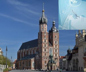Skorpion w centrum Krakowa! Spacerował po ścianie kościoła