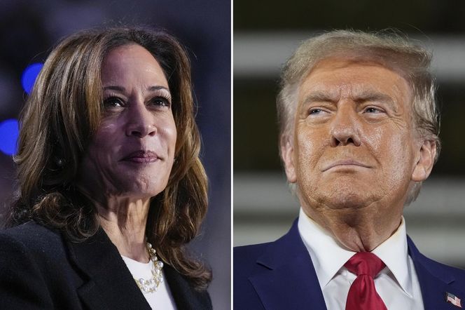 Polacy mają wyraźnego faworyta! Trump czy Kamala Harris? Wszystko jasne