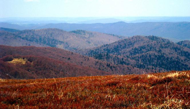 Bieszczady