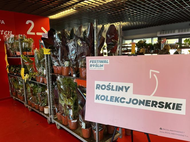 Tłumy na Festiwalu Roślin 2024 w Białymstoku. Zobaczcie te zdjęcia!