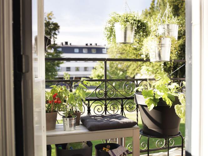 Pomysł na balkon - w czym sadzić kwiaty i rośliny na balkonie