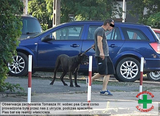 Narkoman z Bydgoszczy katował swojego psa! Jest podejrzany także o zoofilie!