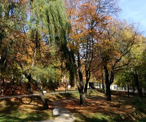 Park Miejski, Starachowice