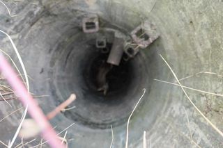 Strażacy uratowali sarenkę