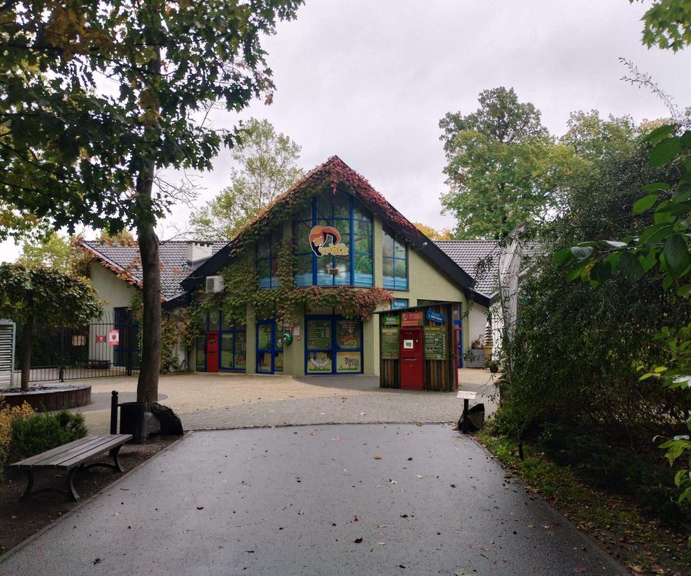 Truchła zwierząt w opolskim zoo - dyrekcja komentuje sprawę